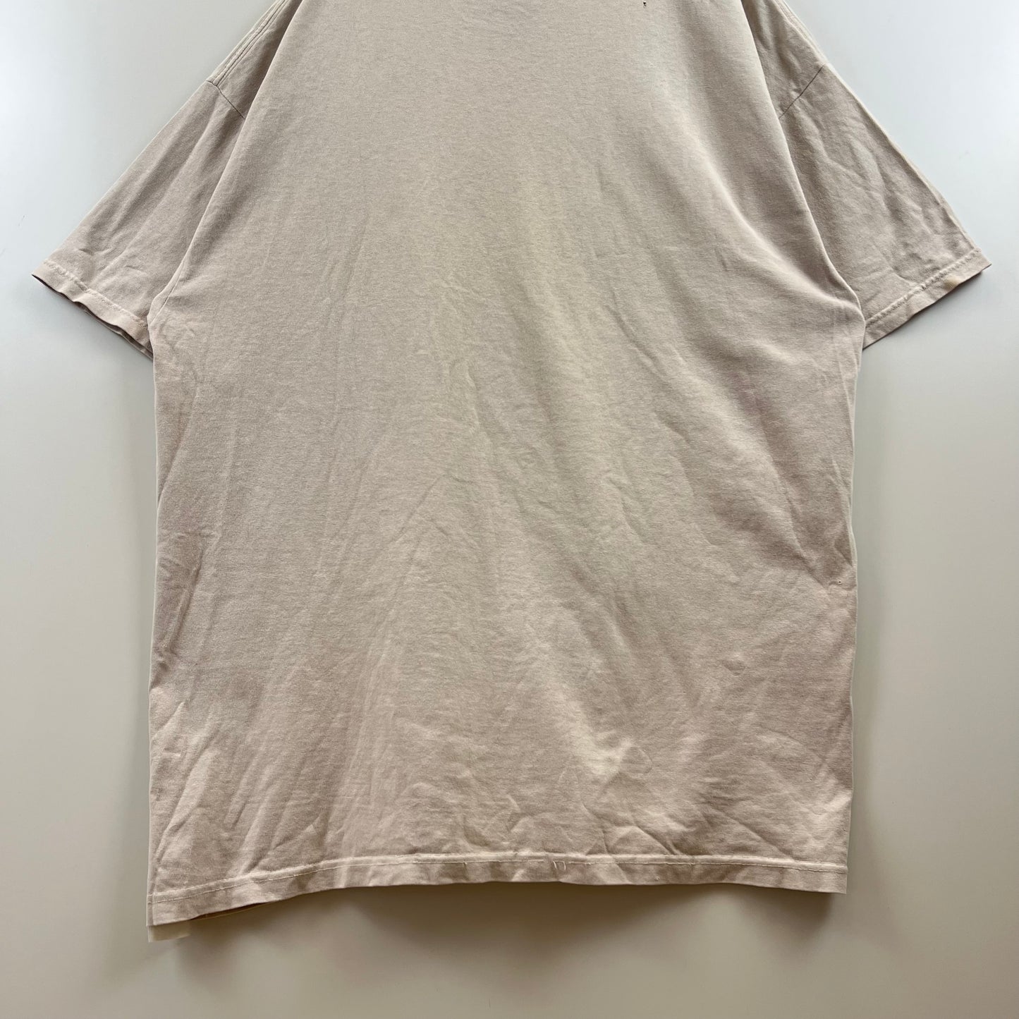 GDC 00s archive grand canyon print Tee XL