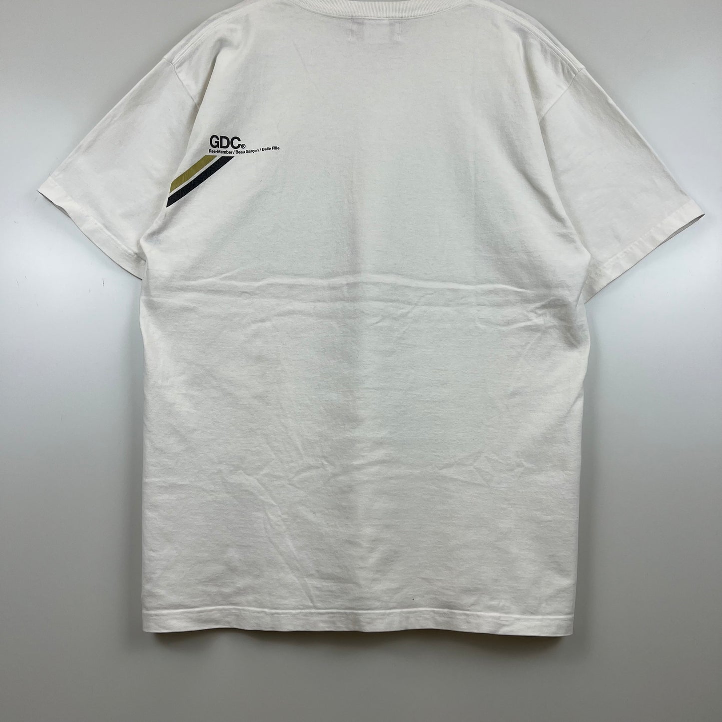 GDC 00s archive grand canyon REE-MEMBER Tee L